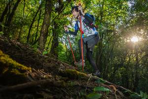 BIB: 3528, 
                            <button type="button" onclick="openModal(16015588)" class="btn btn-primary btn-sm float-right btn-popup" data-toggle="modal" data-target=".modal-high-quality">
                        <i class="fas fa-shopping-cart"></i> Add to Cart
                    </button>
                                            <button type="button" onclick="isThisMe(16015588, true)" class="btn btn-success btn-sm float-right btn-popup btn-isme hidden" data-toggle="tooltip" data-placement="bottom" title="นี่คือรูปของคุณใช่ไหม คลิกที่นี่เพื่อเอาเข้าอัลบั้ม">
                        <i class="fas fa-plus"></i> Add to album
                    </button>
                    <button type="button" onclick="isThisMe(16015588, false)" class="btn btn-warning btn-sm float-right btn-popup btn-isnotme hidden">
                        <i class="fas fa-ban"></i> Remove from album
                    </button>